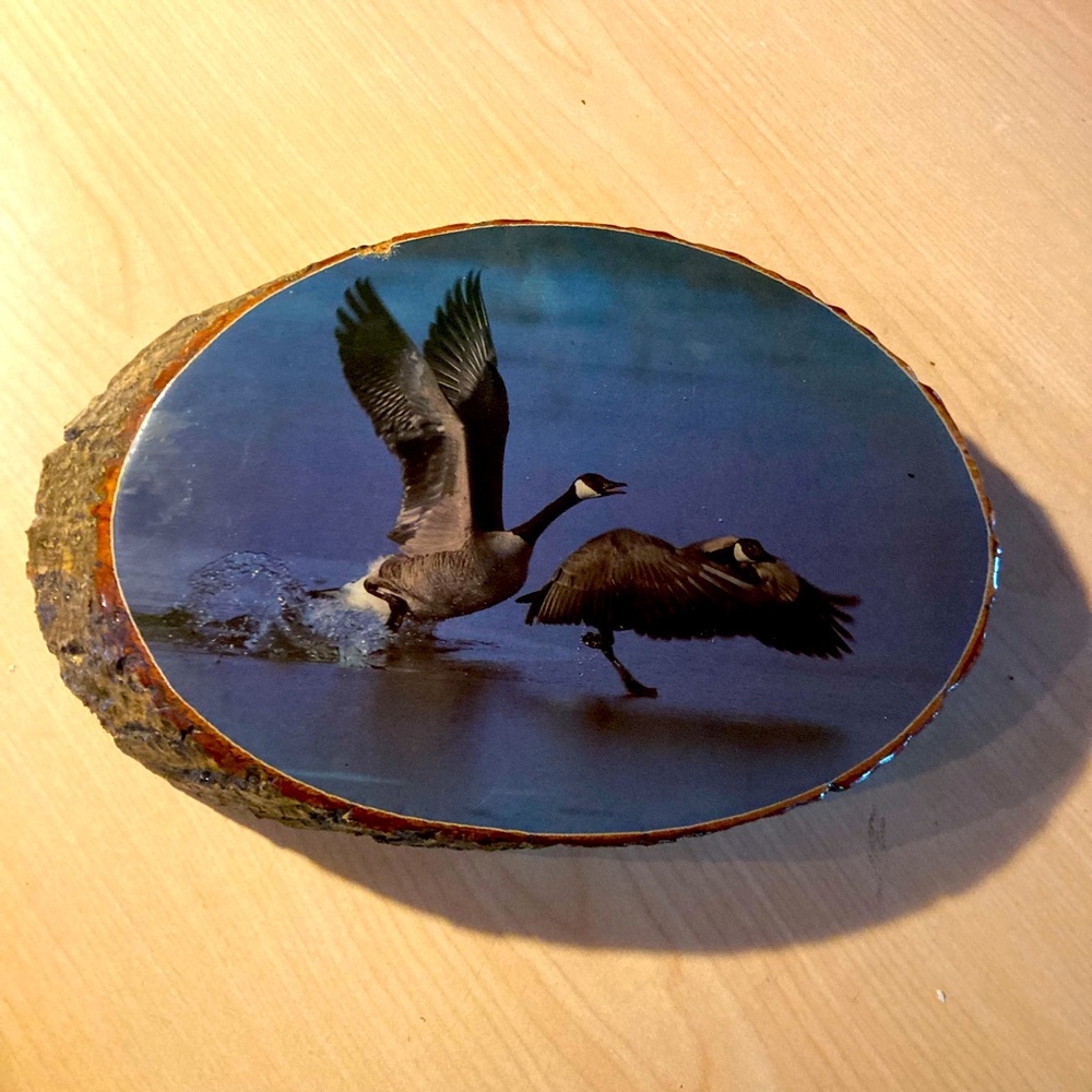 Wood Slice with Geese Artwork wall plaque hanging
